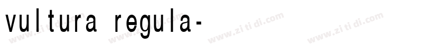 vultura regula字体转换